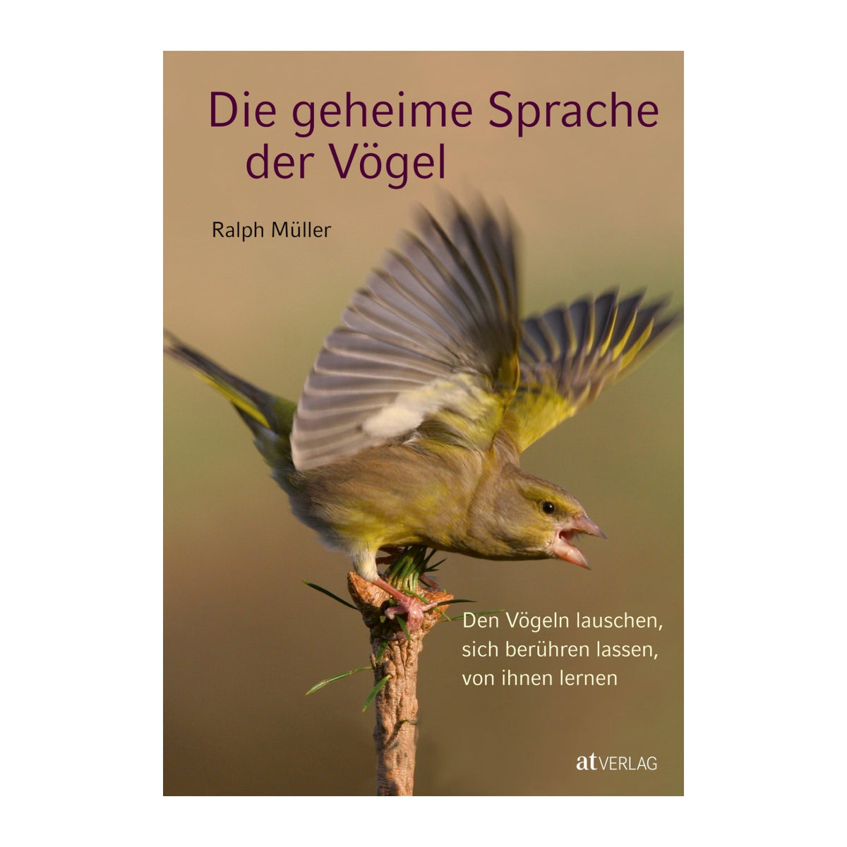 Le langage secret des oiseaux